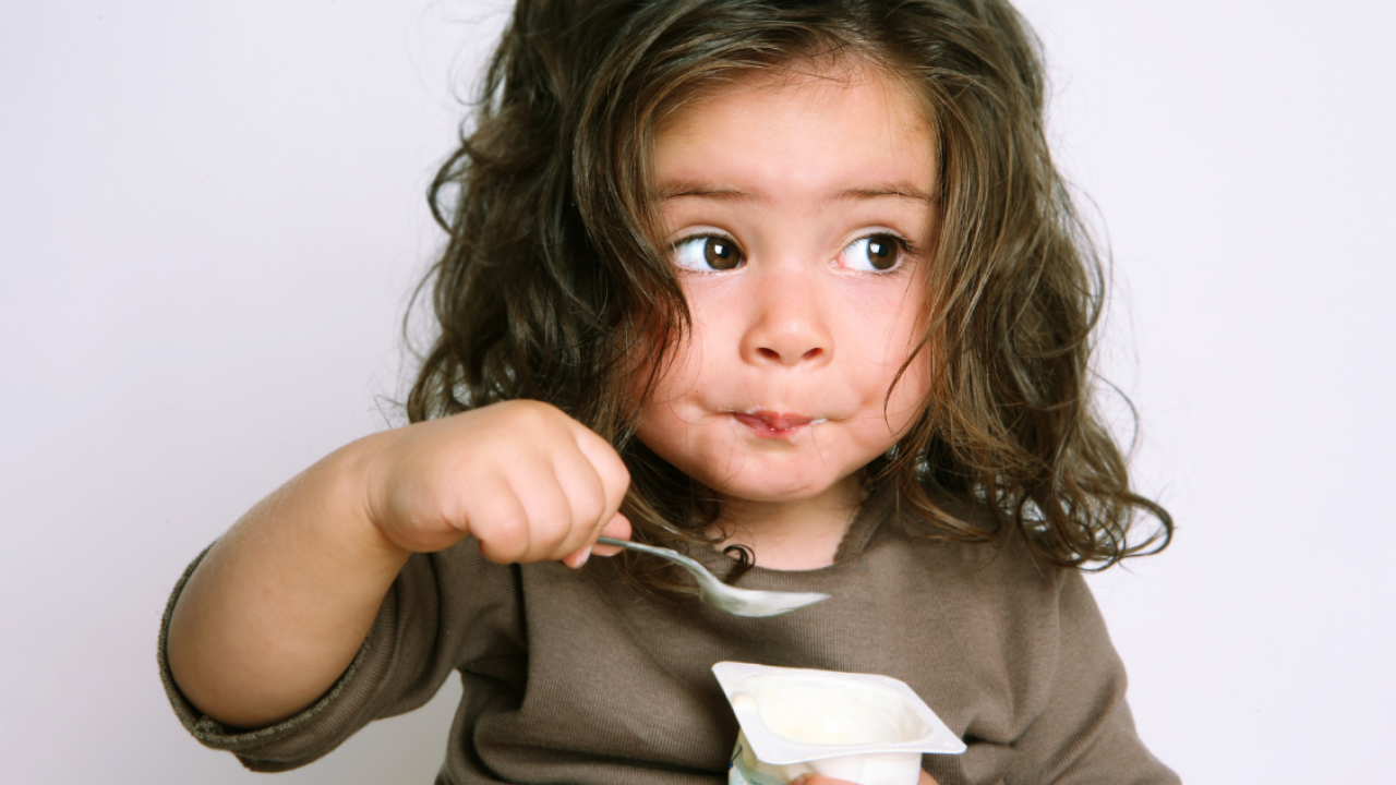 Toddler girl eating yogurt